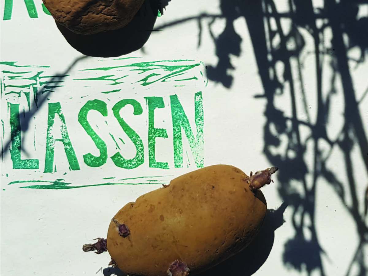 Kartoffelweise und das Miteinander-Magazin.