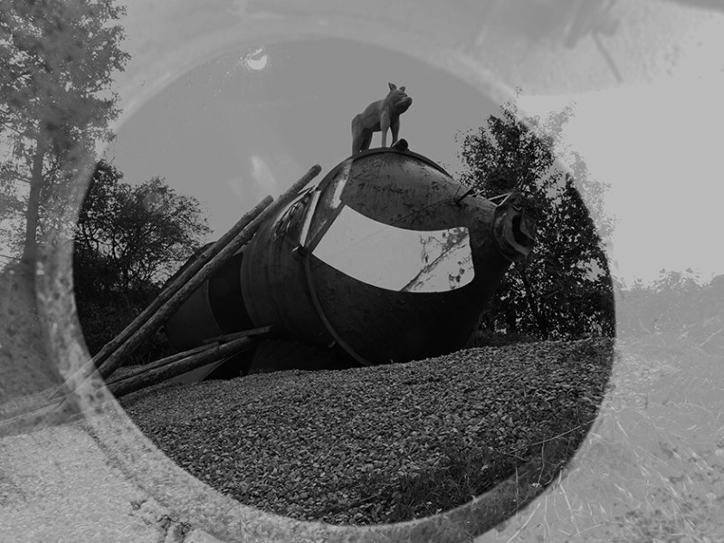 Gerade, wie die&nbsp;Bäume